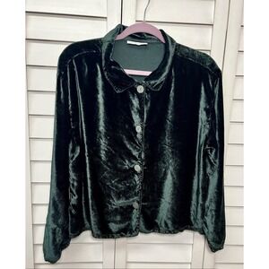 Bryn Walker Velvet Long Sleeve Button Down Top Lagenlook Artsy Size Large Green